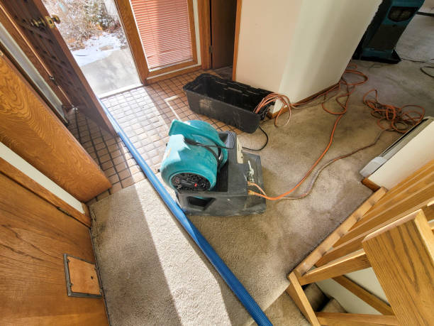 Trusted Claypool, AZ Water damage restoration Experts