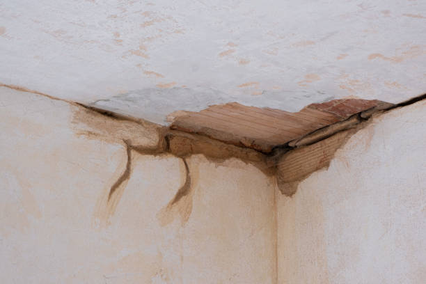  Claypool, AZ Water damage restoration Pros