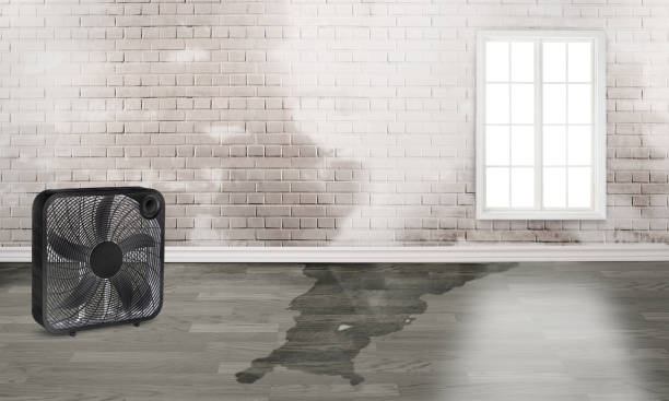 Best Water damage restoration process  in Claypool, AZ
