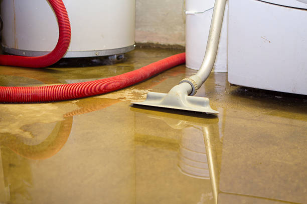 Best Water damage repair service  in Claypool, AZ