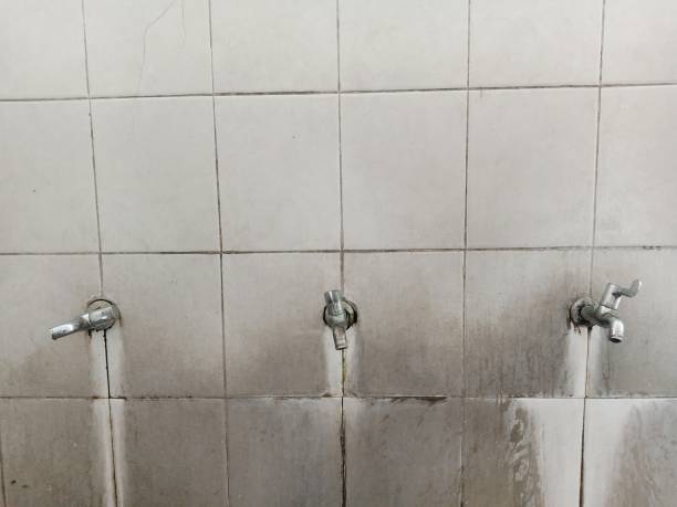Best Mold removal after water damage  in Claypool, AZ