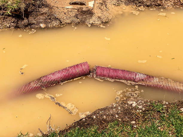 Best Water damage restoration company  in Claypool, AZ